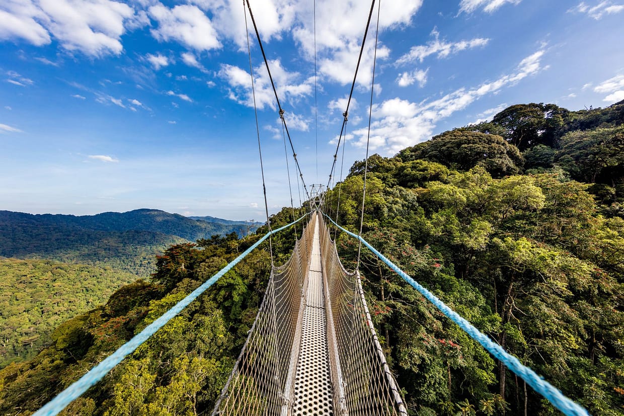 Nyungwe Forest National Park