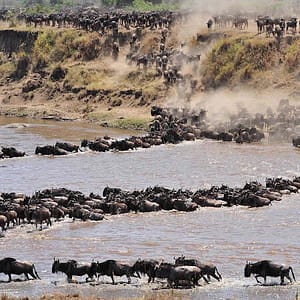 6 Day The Great Serengeti Migration Safari in Tanzania