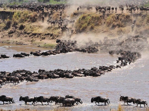 6 Day The Great Serengeti Migration Safari in Tanzania