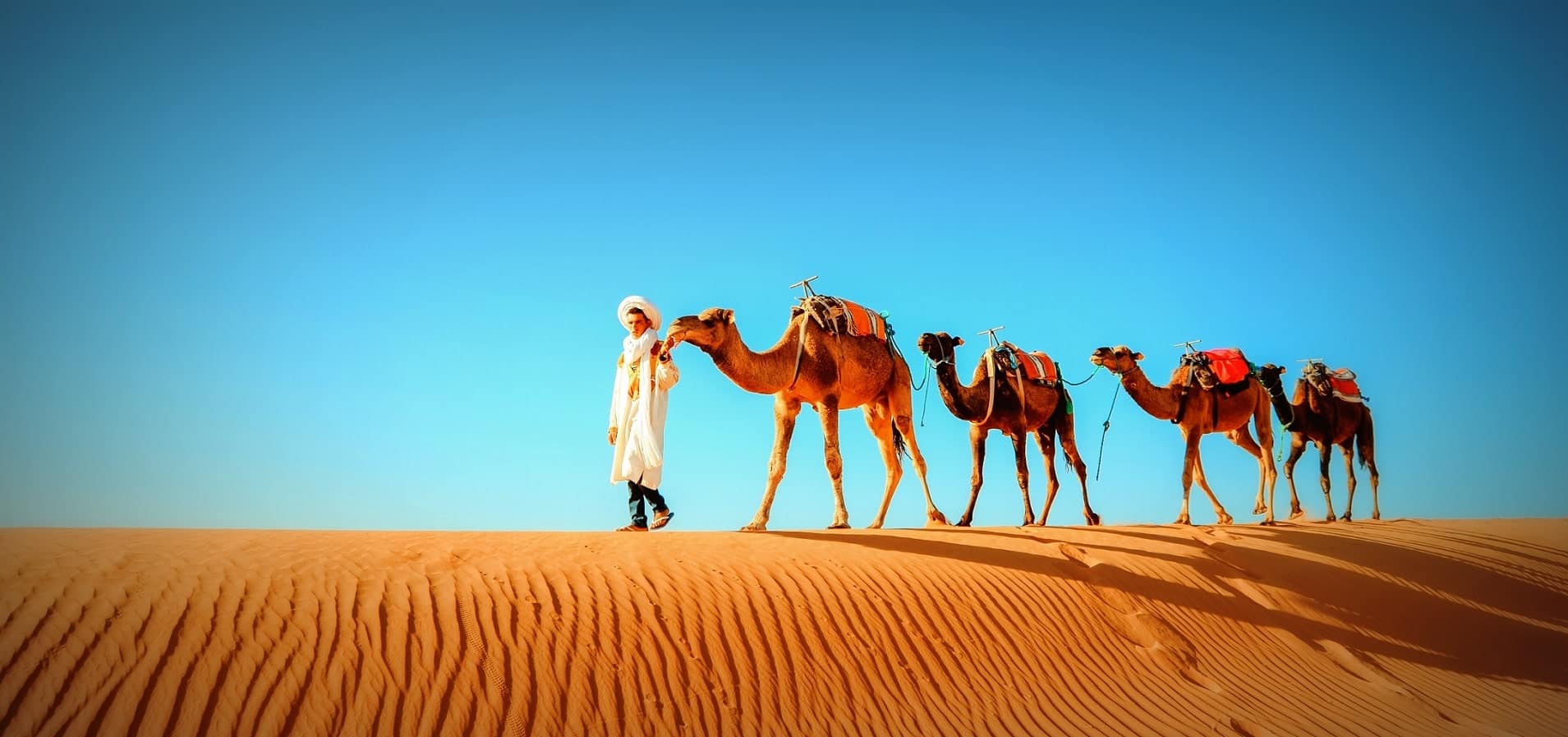 Local Morocco Tours