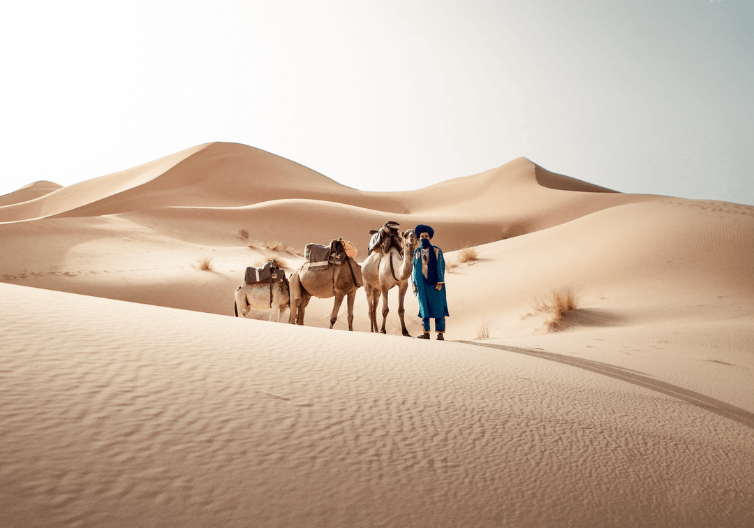 Best Travel Morocco