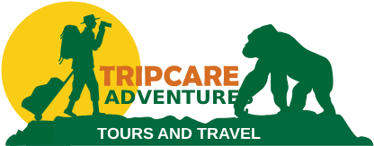 Tripcare Adventures