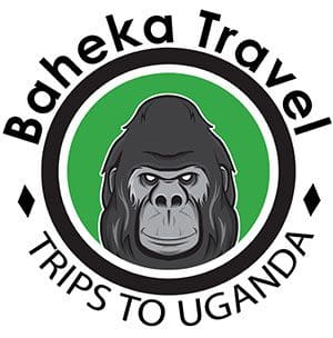 BAHEKA TRAVELS
