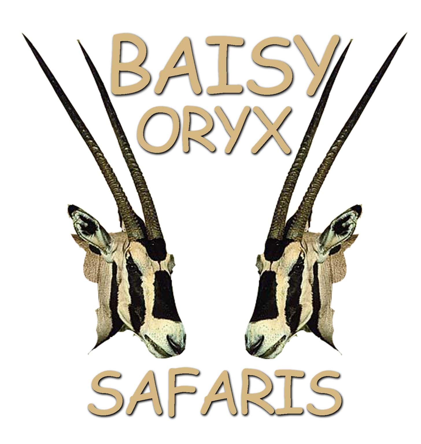 Baisy Oryx Safaris