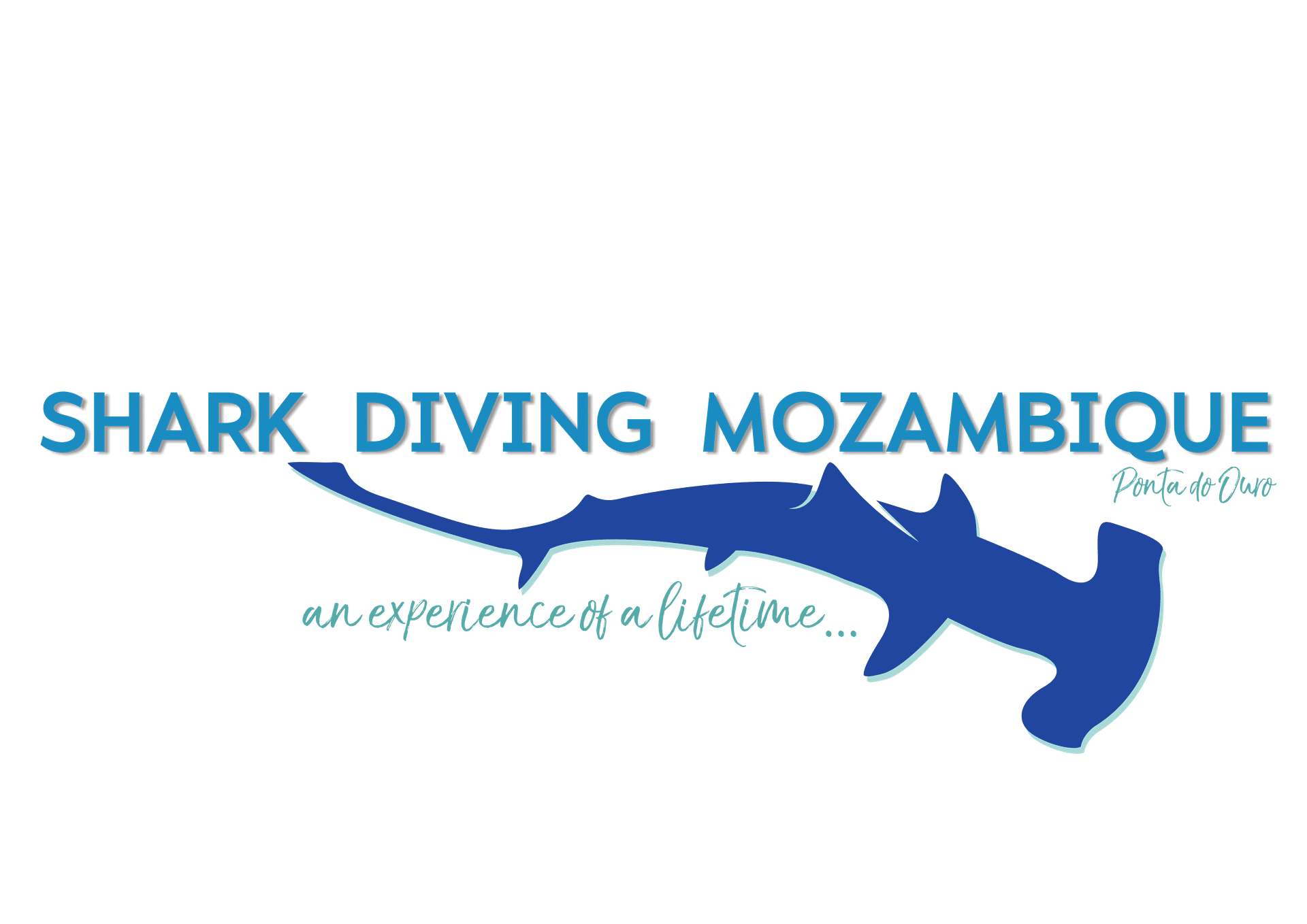 Shark Diving Mozambique
