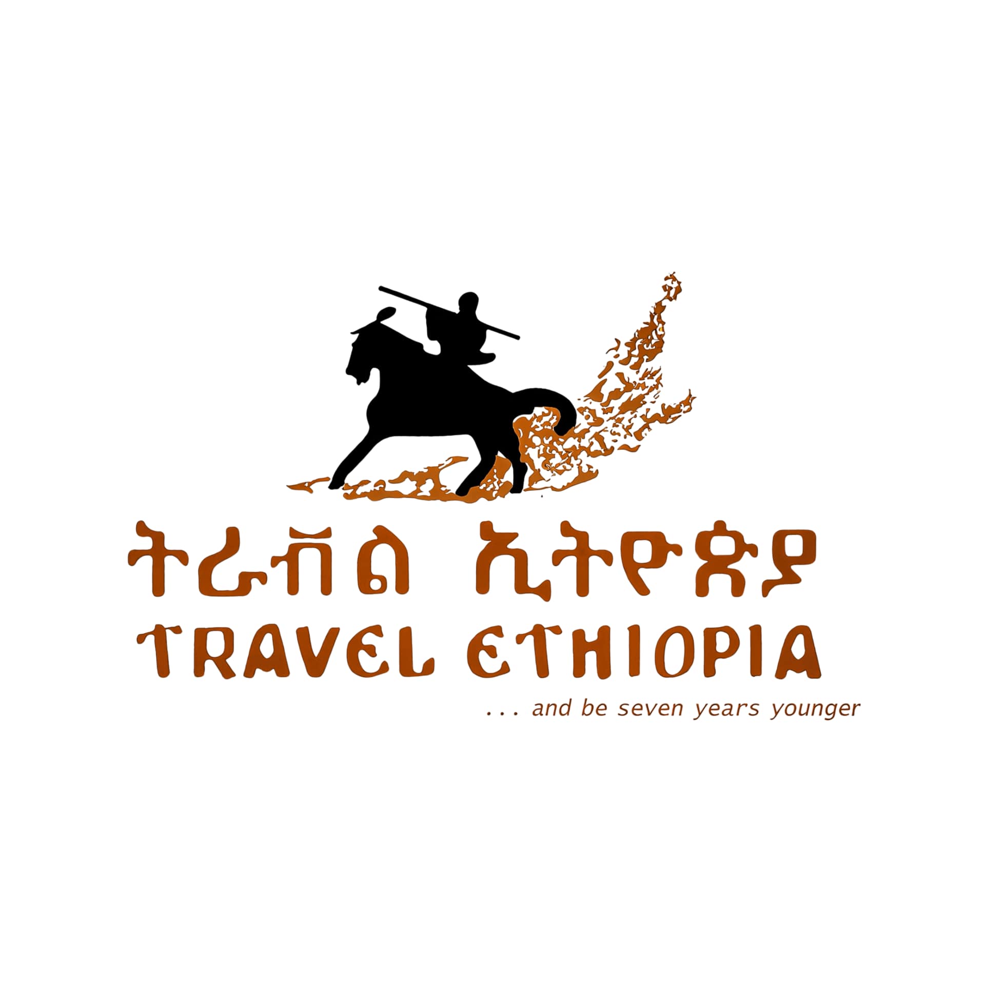 Travel Ethiopia Plc