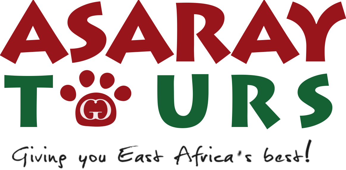 ASARAY TOURS LTD