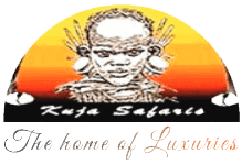 Kuja safaris
