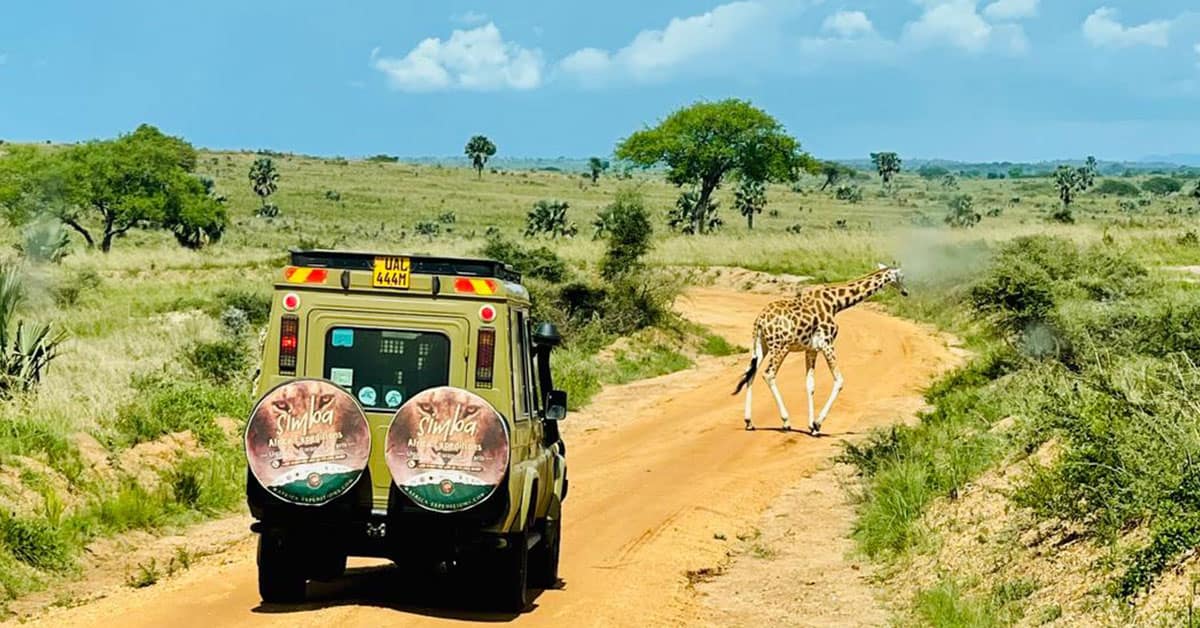 Simba African Expeditions Limited
