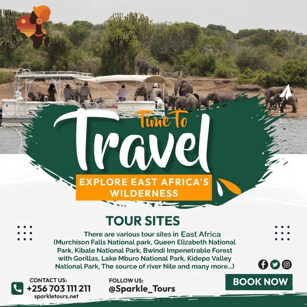 SPARKLE TOURS AND TRAVEL