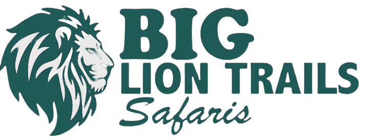 Big Lion Trails Safaris
