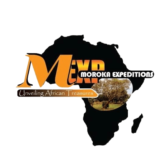Moroka Expeditions