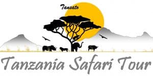 Tanzania Safari Tour