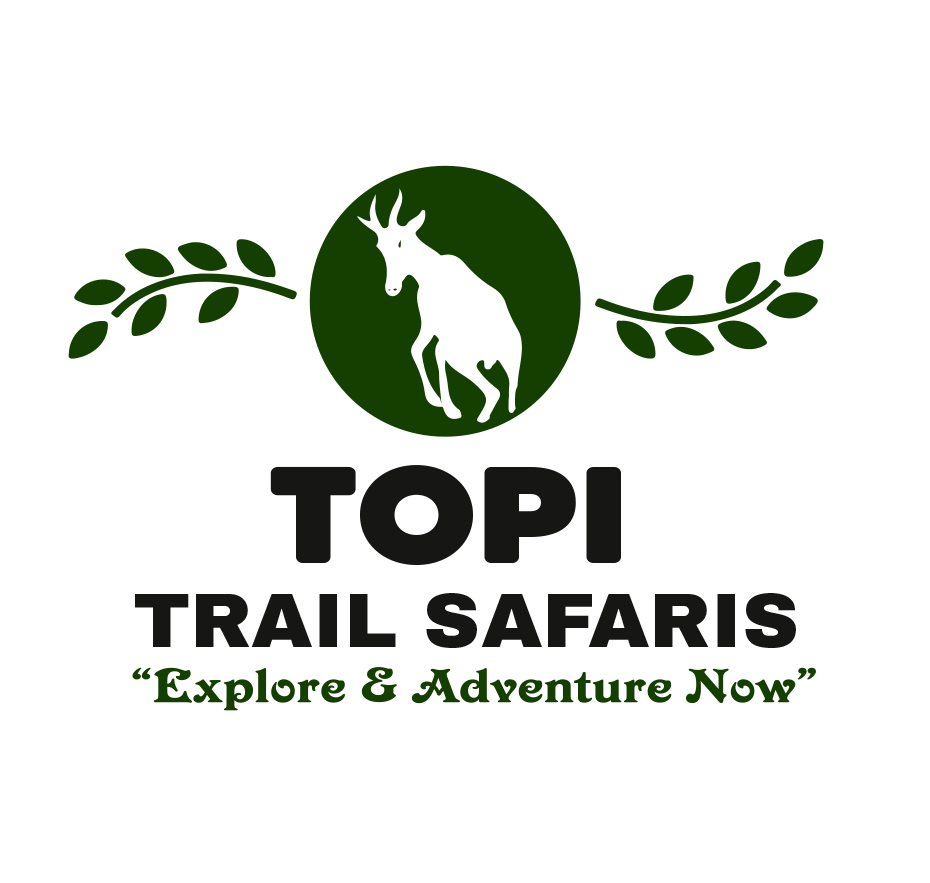 Topi Trail Safaris