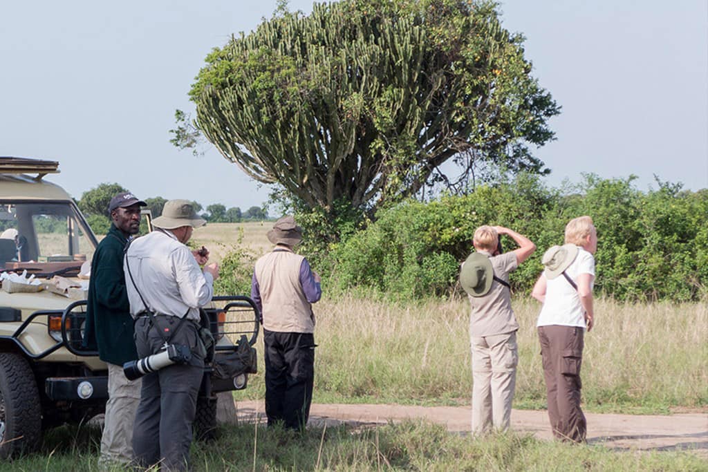 Livingstone Safaris