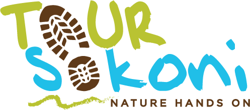 TOUR SOKONI