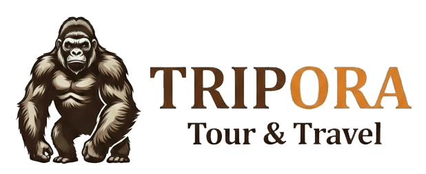 TRIPORA TOUR AND TRAVEL LIMITED