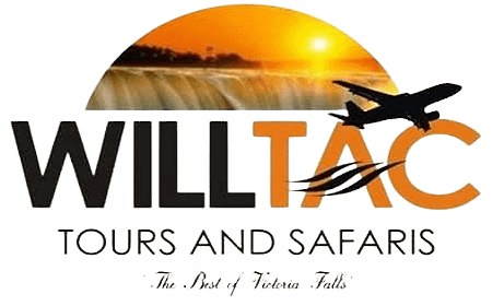 Willtac tours and safaris