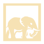 terrasafaris
