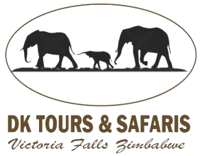 DK Tours & Safaris